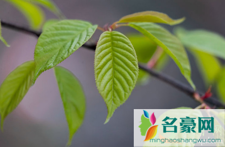 今年春分为什么不是3月21日3