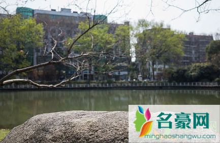 今年春分为什么不是3月21日1