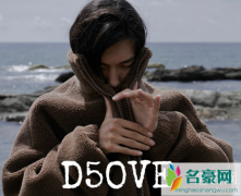 d5是什么衣服牌子？如何评价D5OVE