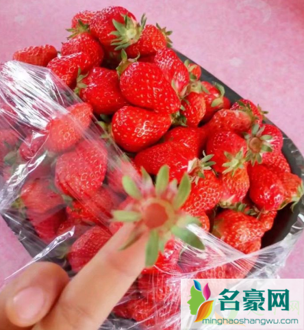 丹东草莓是牛奶草莓吗2