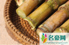 甘蔗种植是苗还是种子 甘蔗几月份种植长得好
