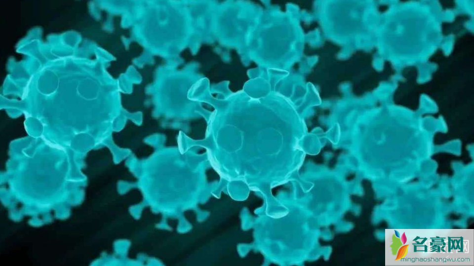 新冠病毒会影响生育能力吗 新冠病毒会终身携带吗