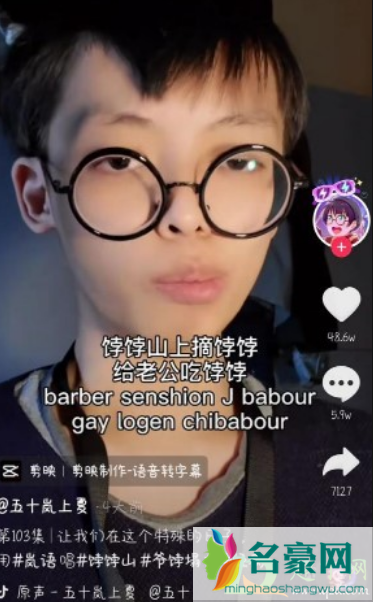 抖音岚语是什么梗出自哪2
