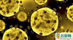 新冠病毒最终感染全球人数 什么是季节性流感