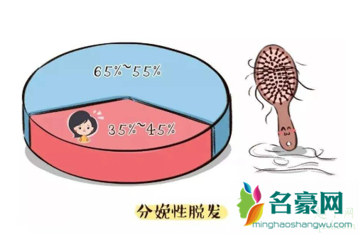 哺乳期掉头发是气血不足吗 气血不足脱发怎么调理1