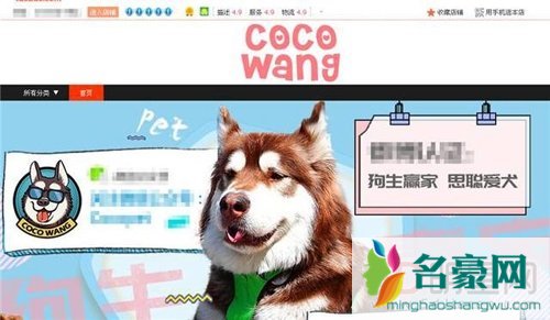 王思聪的狗价价值多少钱 是什么品种怎么来的捡的吗