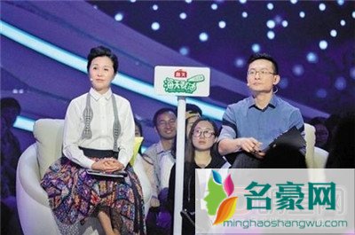 魏坤琳和姜振宇谁厉害 最强大脑振宇是哪位