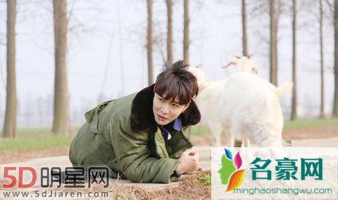 张艺兴谈为何学羊吃草 人生需要不断尝试和体验