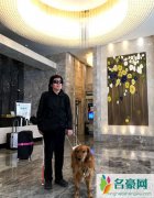 盲人歌手周云蓬带导盲犬住酒店屡被拒 关注导盲犬