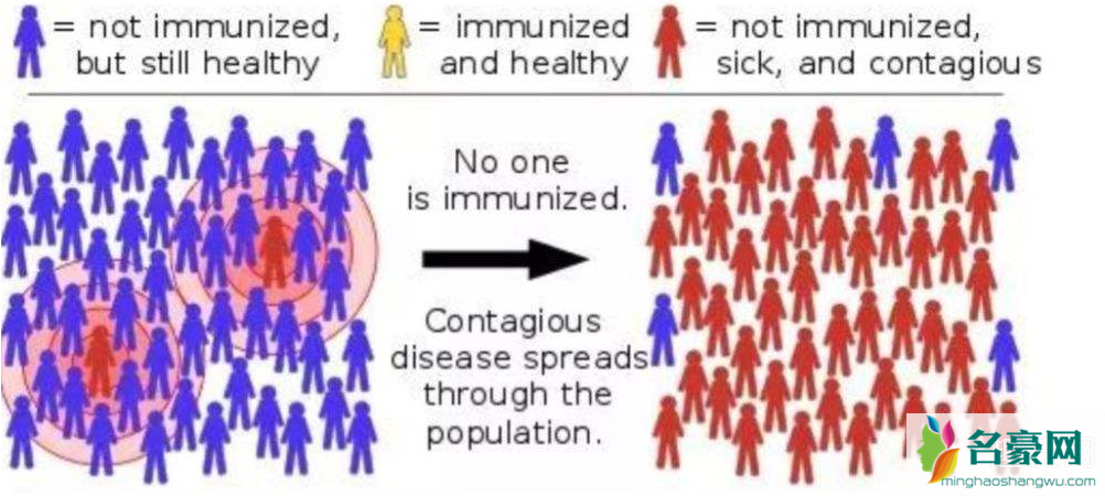 群体免疫是什么 怎样增加群体免疫力