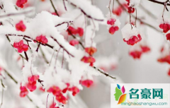 武汉12月份哪天有雪2020 武汉什么时候会下雪
