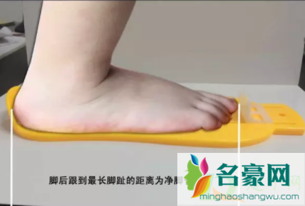 欧洲码比中国正常码会大吗4