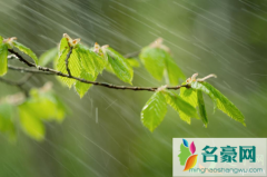 梅雨季节开窗会不会引起涂料发霉 梅雨季节怎么防