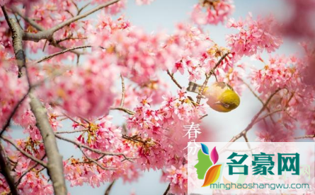 2021春分一定昼夜平分吗1
