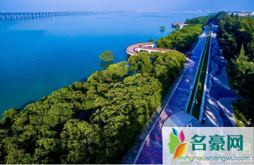 疫情会影响2021元旦出游吗2