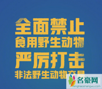 湖北全面禁止食用野生动物 全面禁止野生动物交易