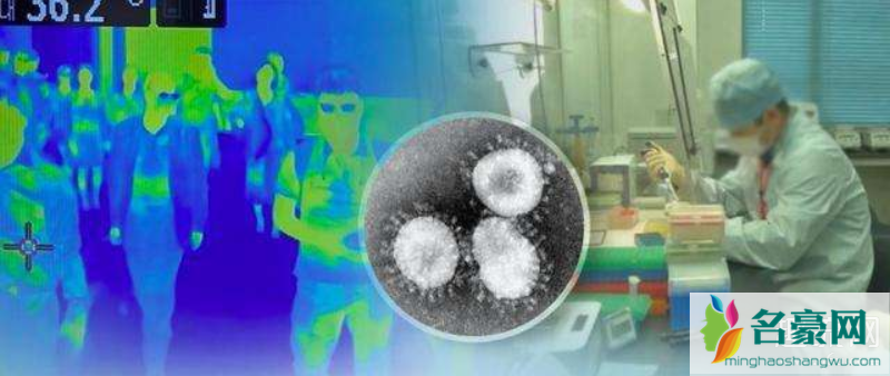 韩国研究团队宣布发现新冠病毒抗体是真的吗 韩国封城了吗