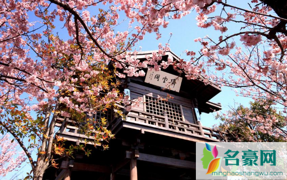 2021武汉4月份还有樱花吗1