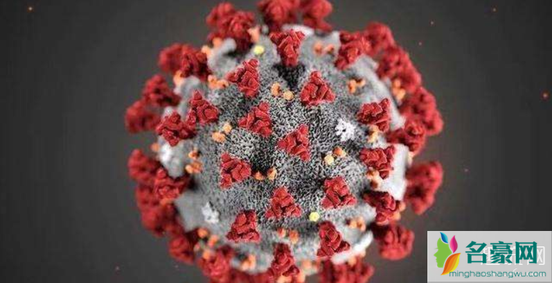 新型冠状病毒是怎么进去人体的 新型冠状病毒是怎么让人发病的