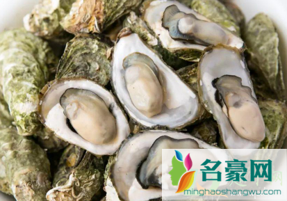 生蚝隔夜吃没问题吧1