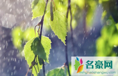 2021年五月份雨水多吗 2021五月份降水量怎么样