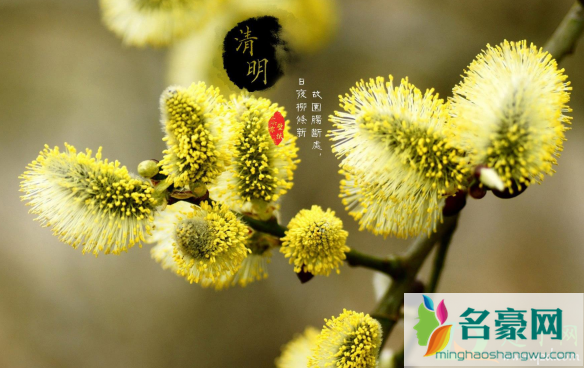 清明节晴天有什么说法3