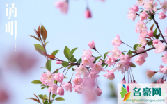清明节晴天有什么说法 清明节的天气特征