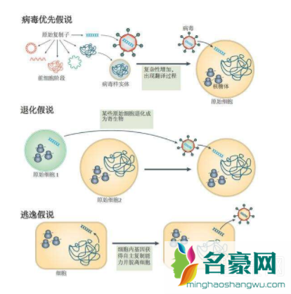 哪些国家有新型冠状病毒 新冠病毒是否变异