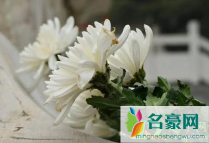 寒食节不能上坟吗20212
