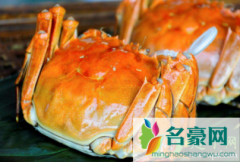 螃蟹什么部位不能吃