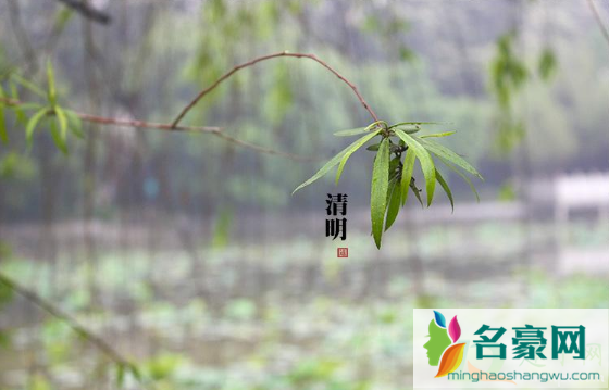 清明上坟从高祖开始拜还是辈份低开始 1