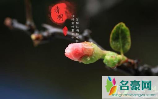 清明上坟兄弟不同时去行不行3