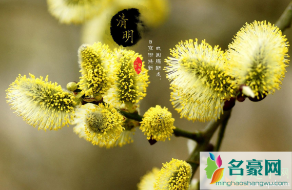 清明上坟兄弟不同时去行不行2
