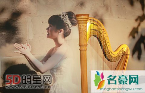 福原爱婚后以家庭为重 不参加训练或将退役