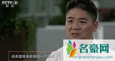 刘强东当石头村名誉村长 这样一个企业家到底厉害在哪里