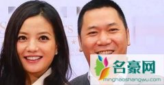 赵薇夫妇遭处罚国家为什么不抓赵薇 为什么说赵薇