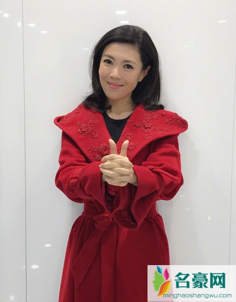 时尚女王苏芒因家人辞去总裁职位 网友关注芭莎慈善是否会继续