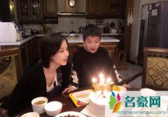 黄圣依6岁儿子安迪综艺首秀 小烟嗓称妈妈是“黑洞