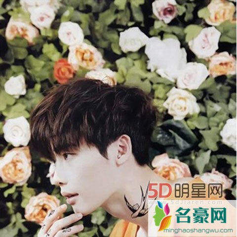 裴秀智确定参演当你沉睡时 李钟硕秀智合作当你沉睡时