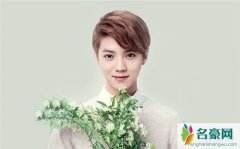 天官赐福作者是谁 天官赐福剧版选角谁人气最高