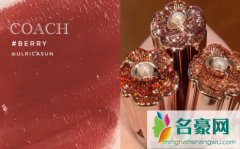 Coach丝芙兰联名唇釉Berry什么颜色 Coach丝芙兰联名唇