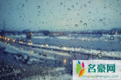 2021武汉四月为什么每天都下雨 2021武汉四月还有樱花