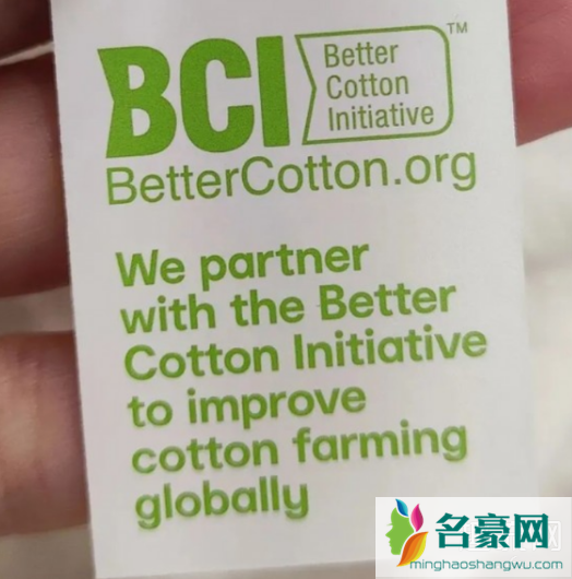 亚瑟士是BCI吗 亚瑟士是hm吗