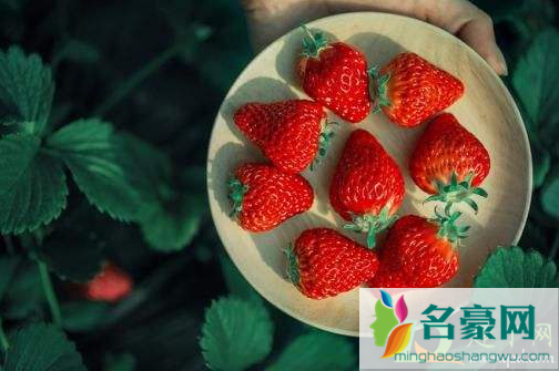 草莓洗了可以明天吃吗2