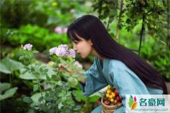 李子柒传播传统文化 为何知乎上好多人不喜欢她