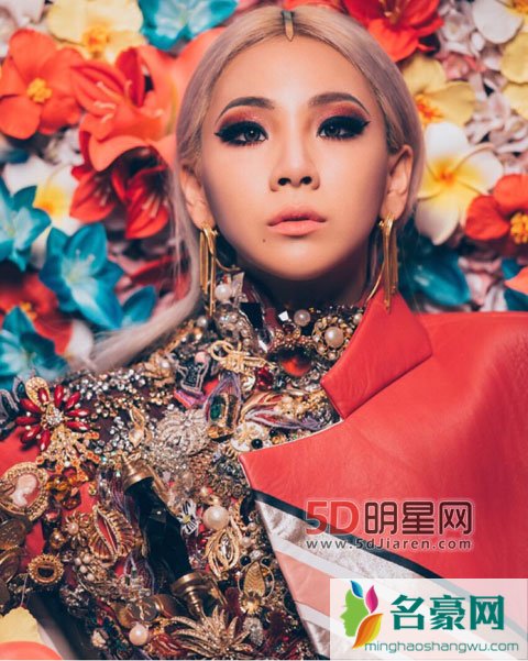2NE1李彩琳CL公开道歉宗教事件 2NE1李彩琳CL为伴奏事件道歉