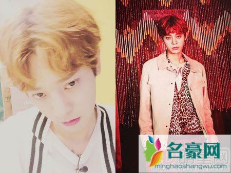 郑俊英深陷性侵疑云 经纪公司敬告媒体不要随意报导