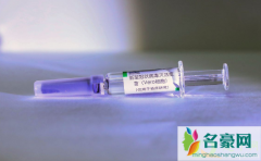 中国新冠疫苗首针将于1月15日接种是真的吗 新冠疫