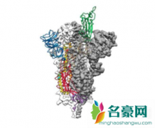 新冠病毒原子图 韩国出现超级传播者