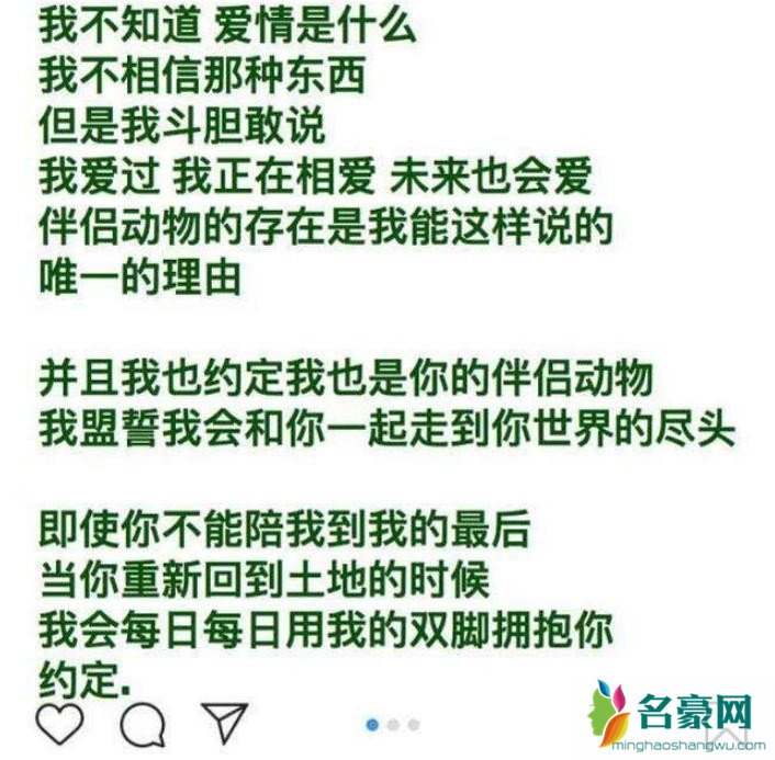 具惠善或将隐退